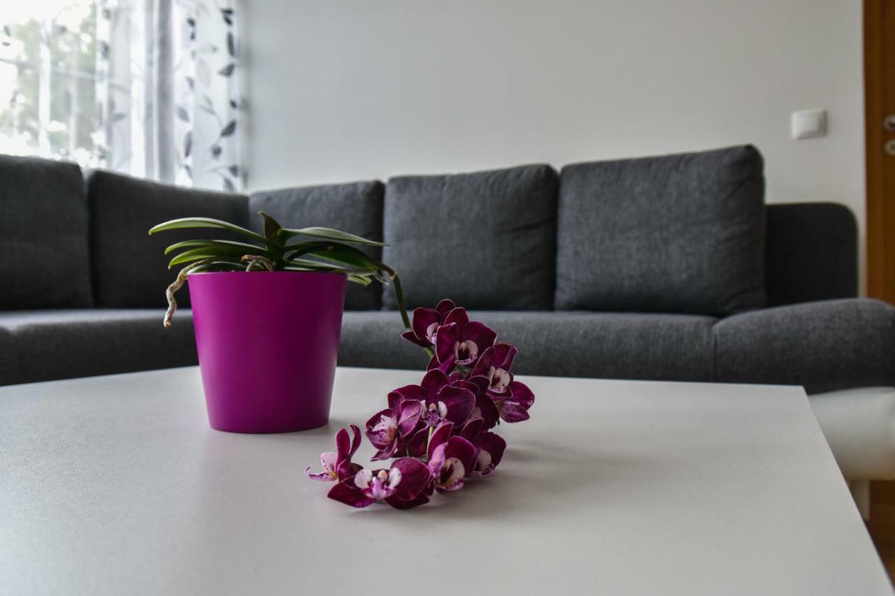 Mardi Downtown Apartment Tallinn Luaran gambar